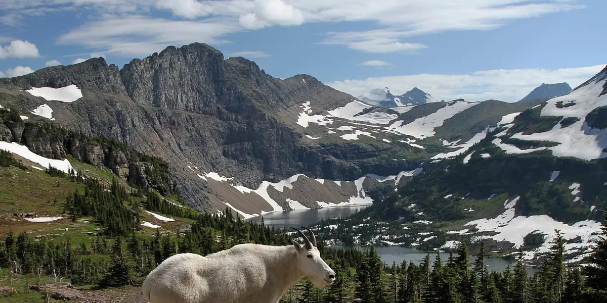 Glacier National Park, Montana